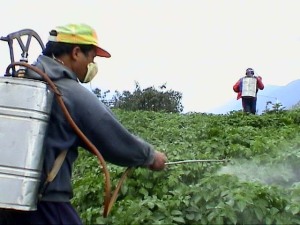 Pesticide Spray. Photograph by Sachin Sharma
